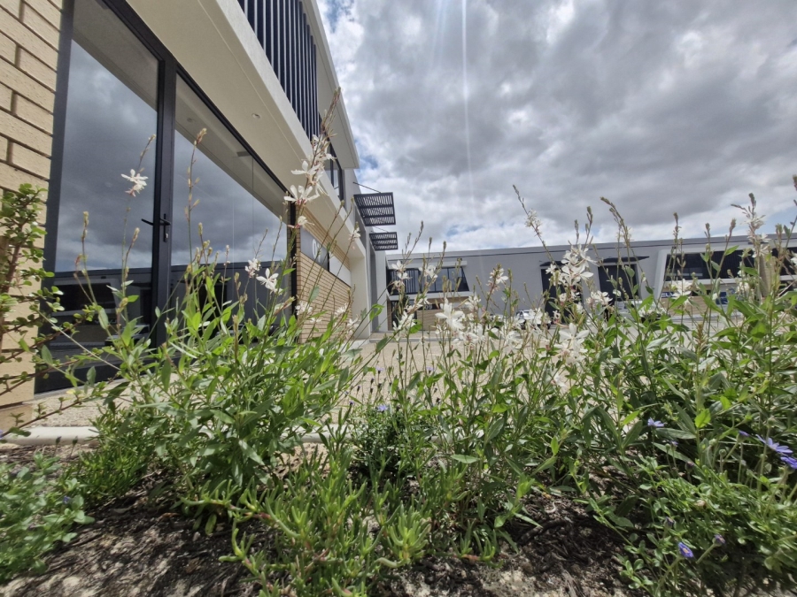 To Let commercial Property for Rent in Stikland Industrial Western Cape